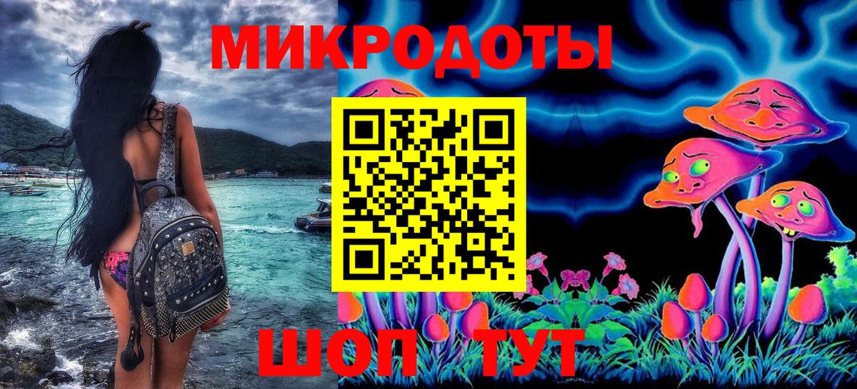 Псилоцибиновые грибы Psilocybe Ипатово