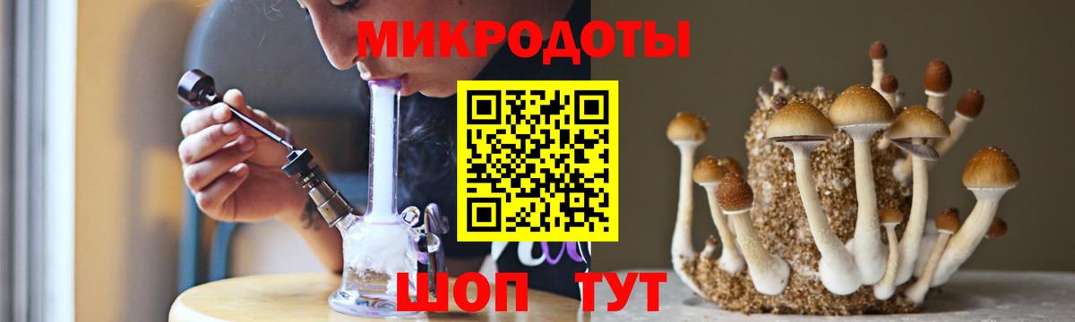 Галлюциногенные грибы Psilocybe  Вход с VPN  закладка  Ипатово  Галлюциногенные грибы Psilocybine cubensis 